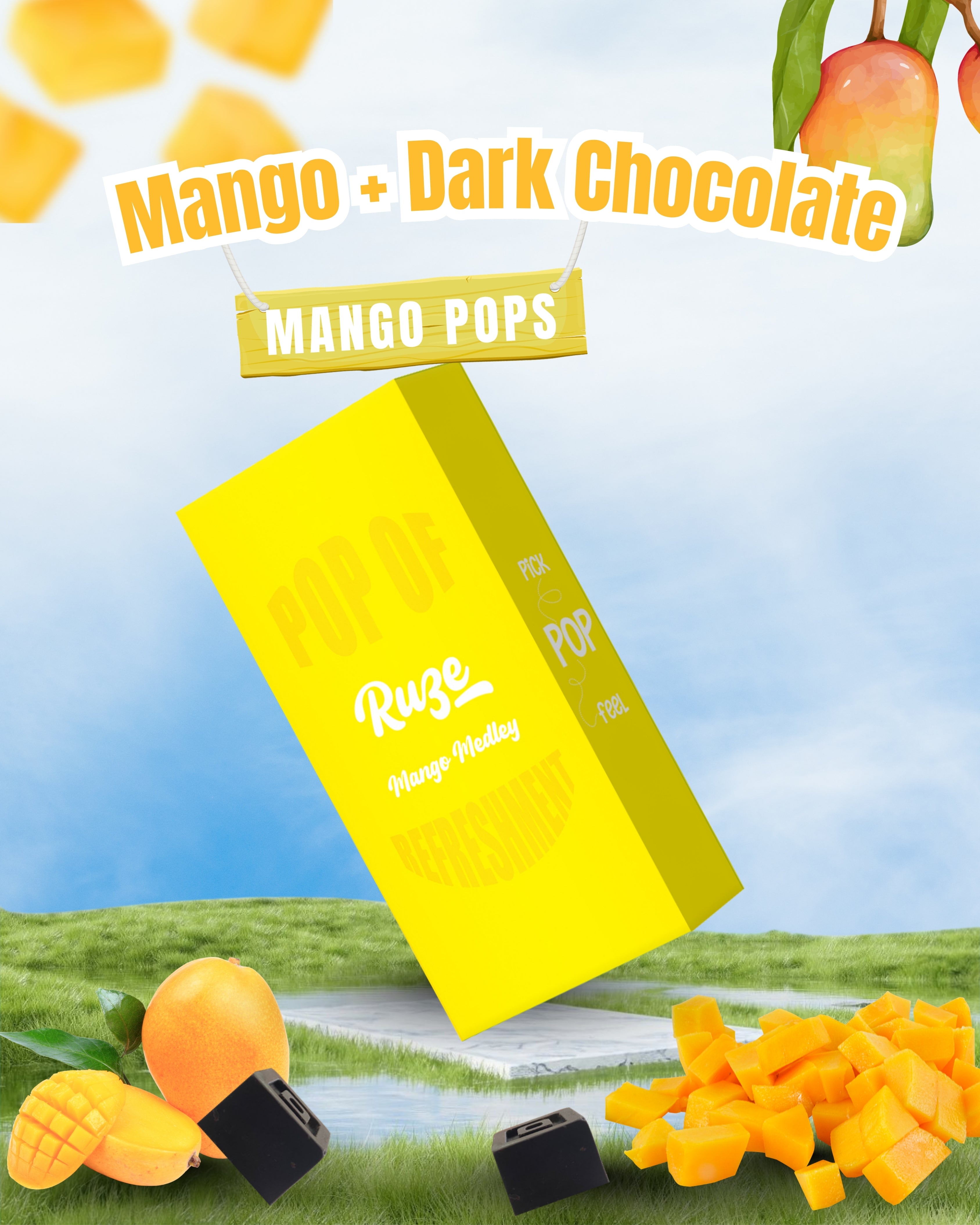 Mango Medley Dark Chocolate (Box of 10)