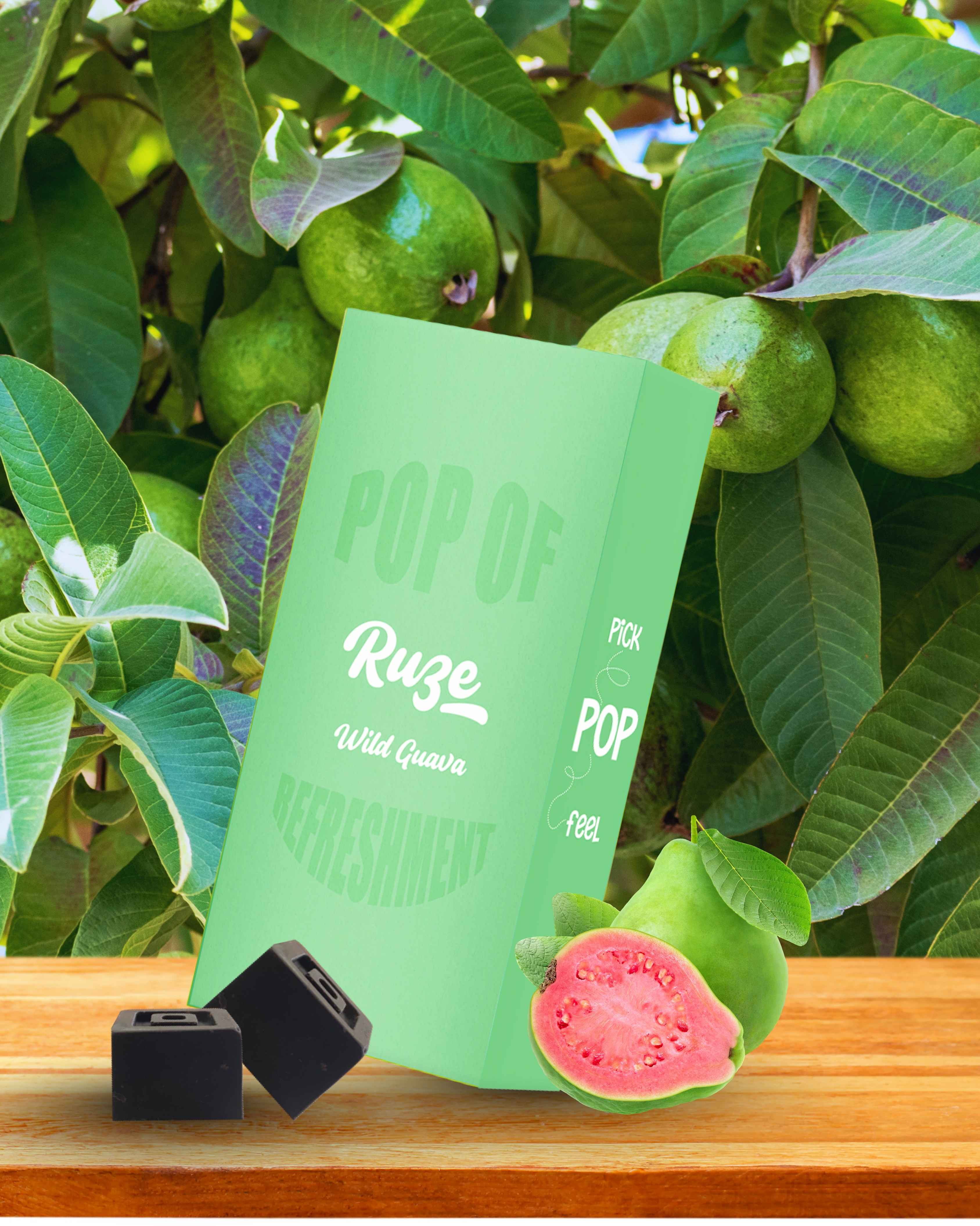 Wild Guava Dark Chocolate (Box of 10)